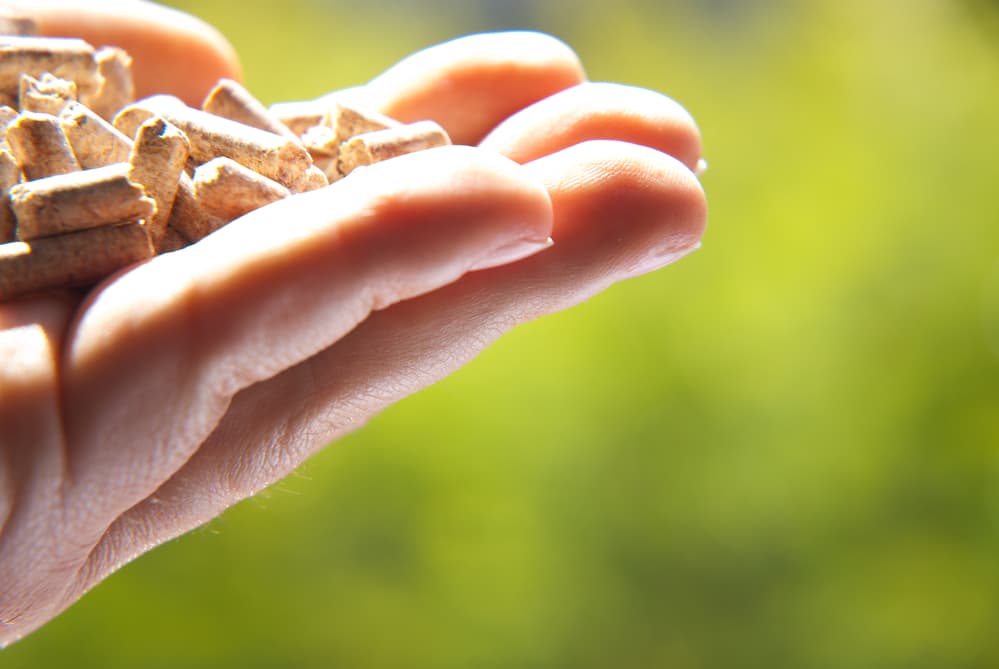 Eine ökologische Alternative